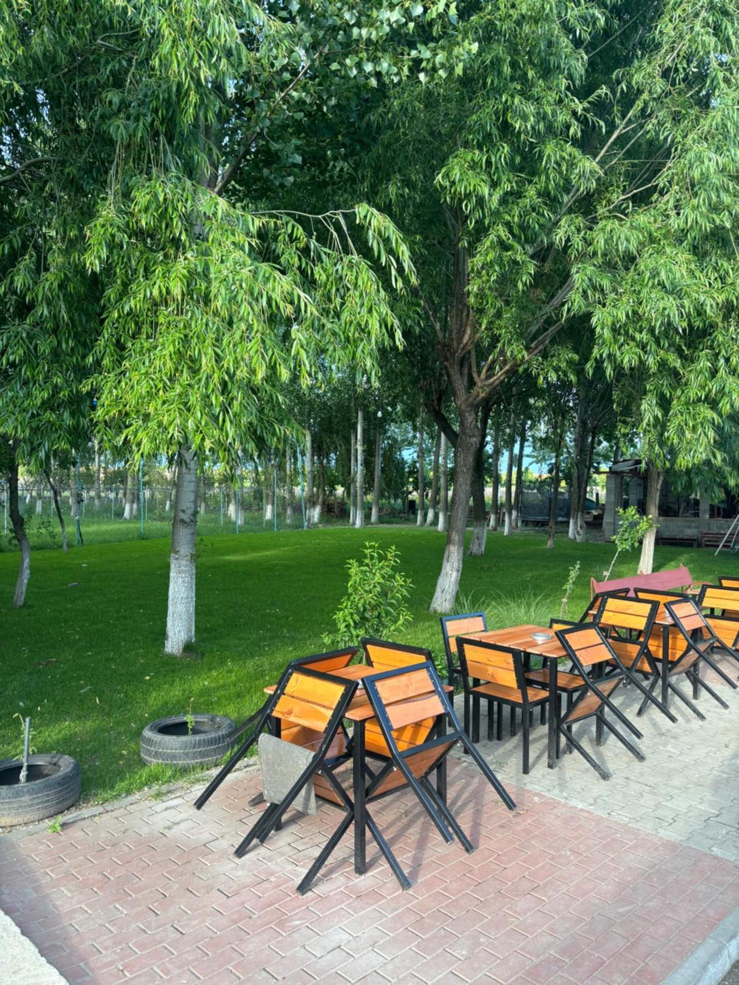 Gigios Sport&Relax Bailesti Exterior foto